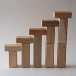 Load image into Gallery viewer, Oak Village Building Blocks In Wooden Box
